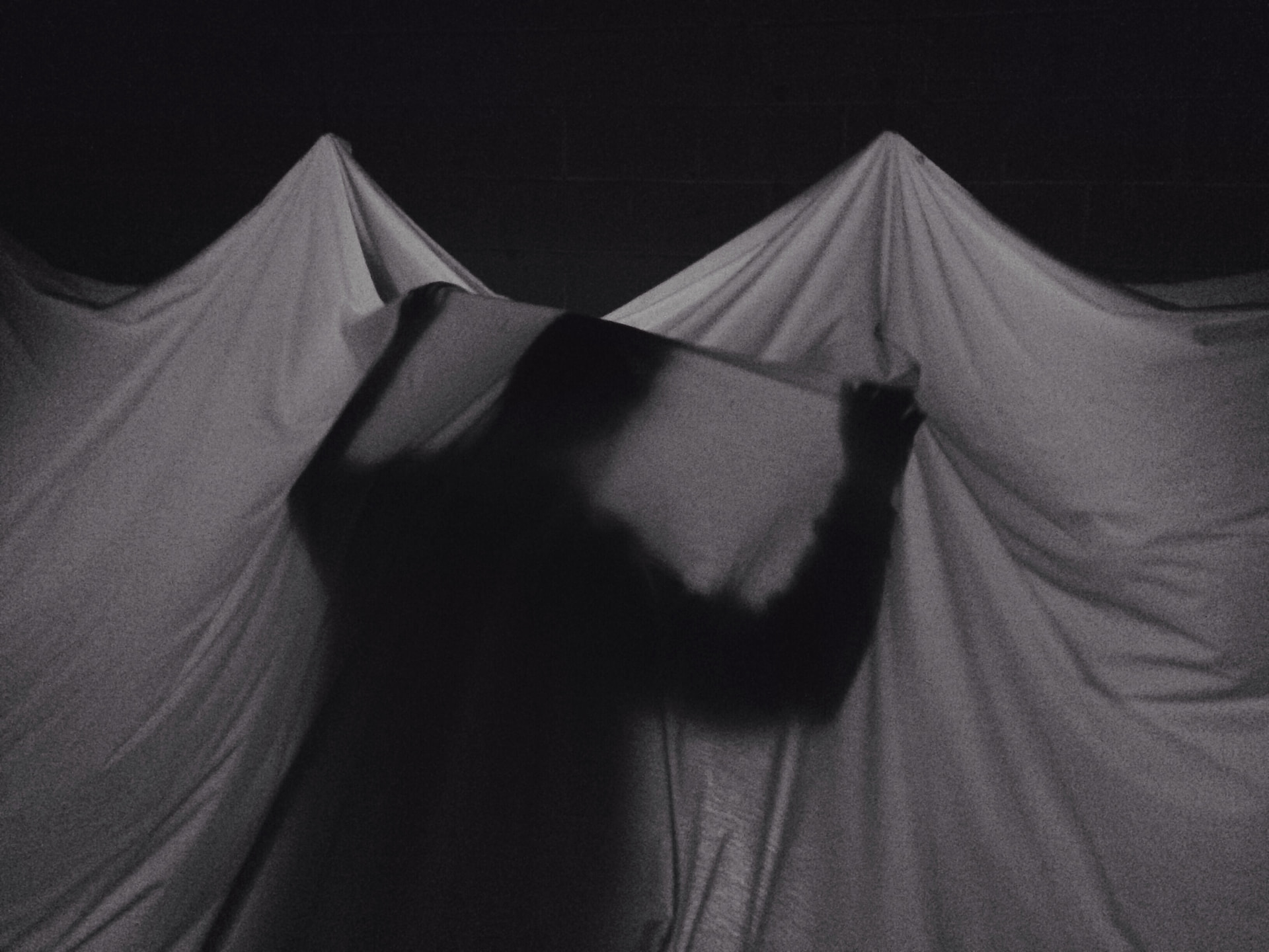 Facing a Reality — installasjonsfoto 3