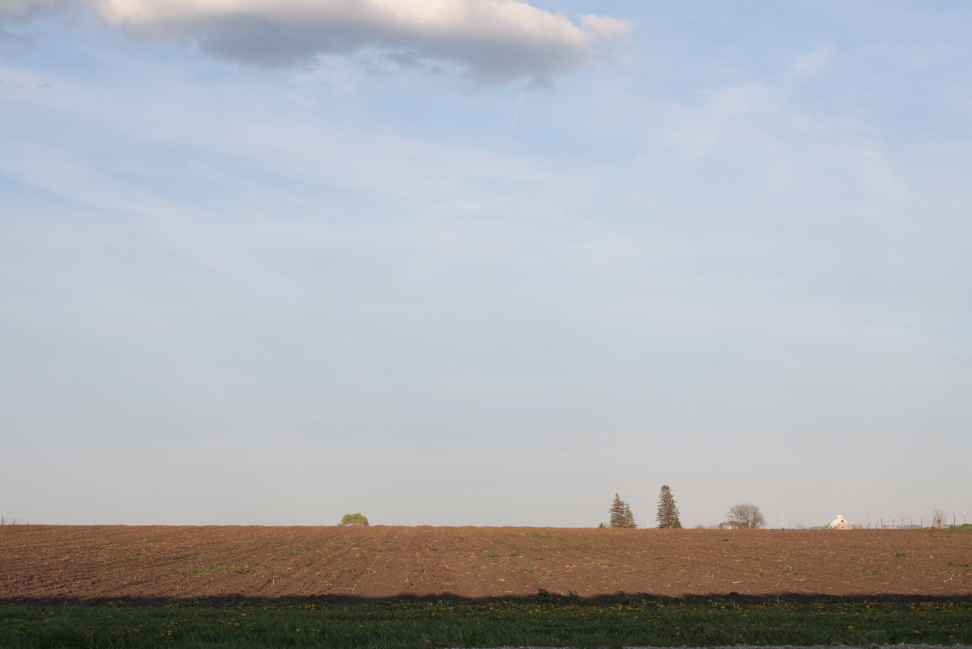 Facing a Reality — stedsfoto 1