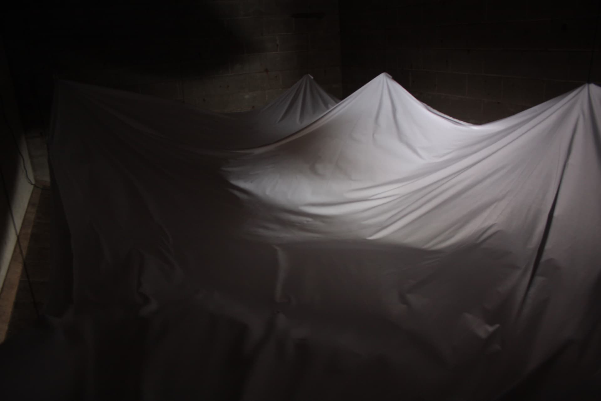 Facing a Reality — installasjonsfoto 1