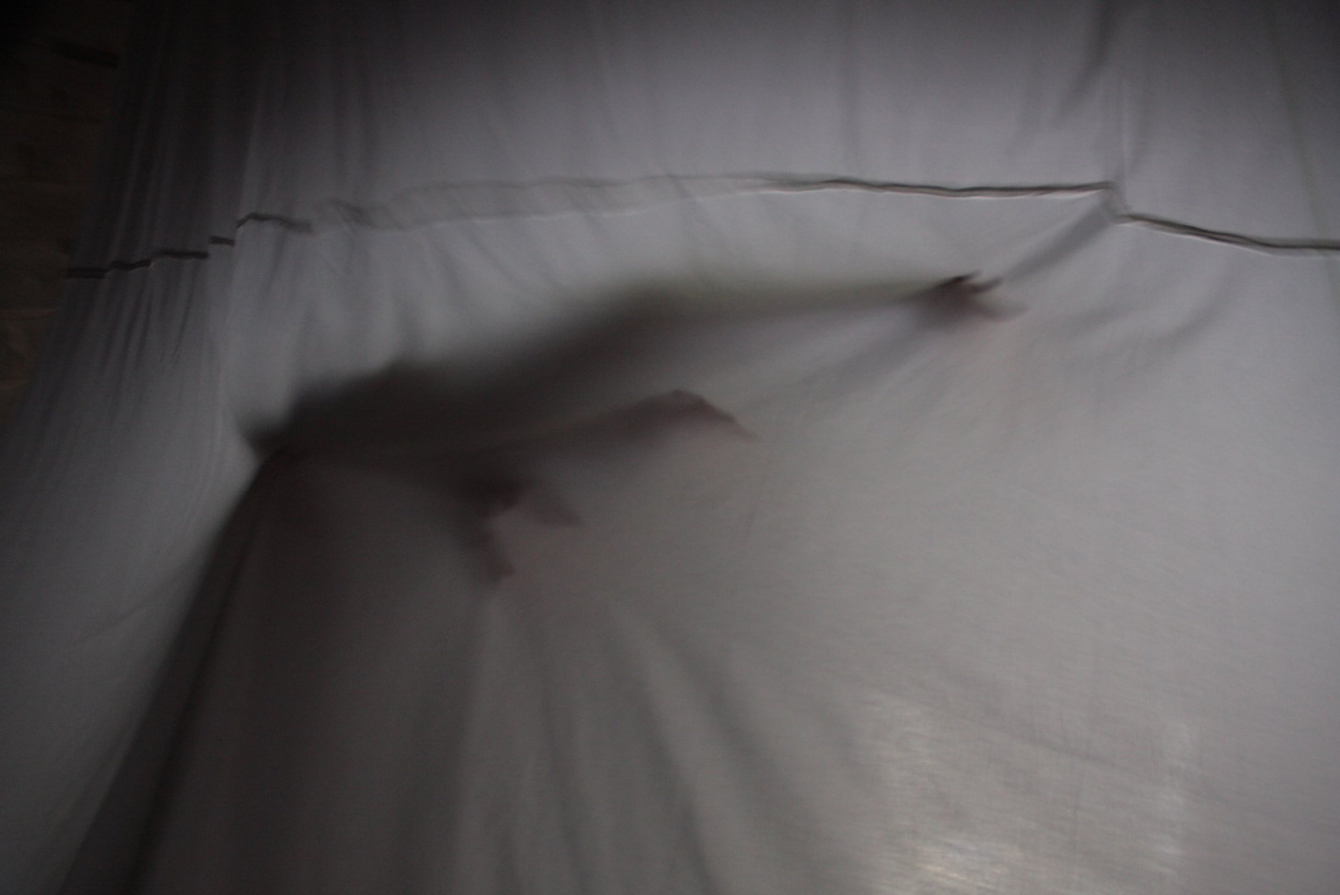 Facing a Reality — installasjonsfoto 5